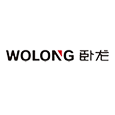 卧龙控股