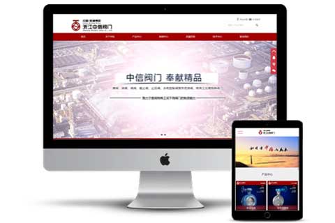 中信阀门